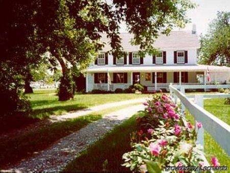 Lazyjack Inn On Dogwood Harbor Tilghman Island Exteriör bild